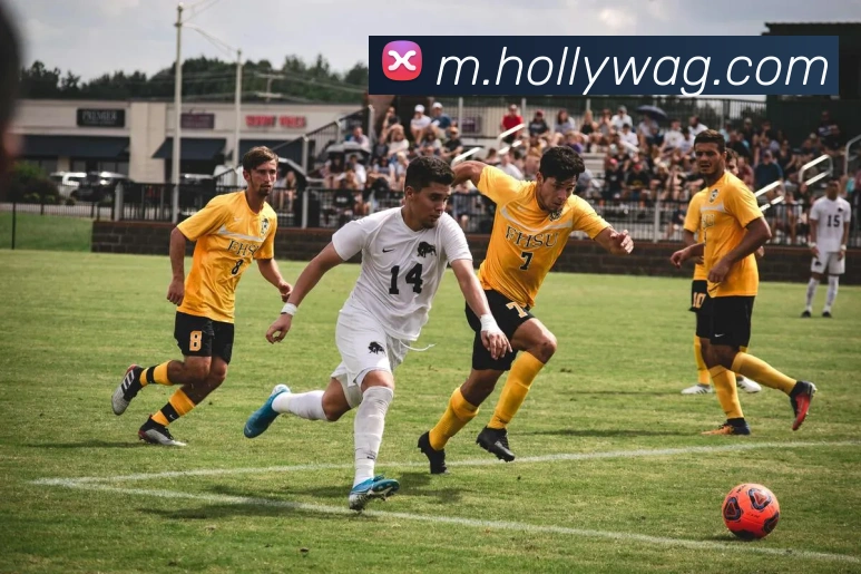 多媒体互动体验